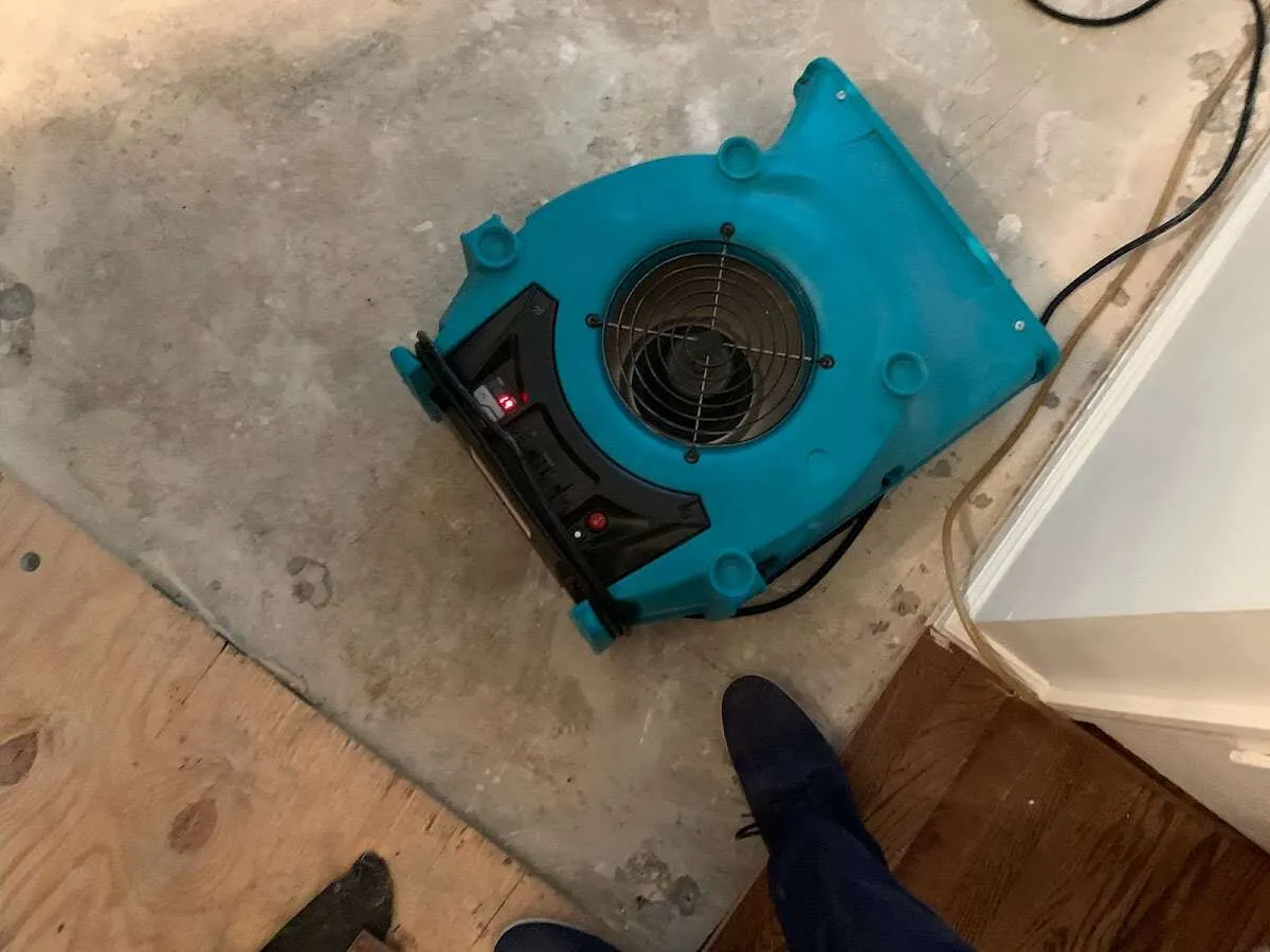 Air mover drying subfloor during Commercial Water Damage Restoration in Mayfield